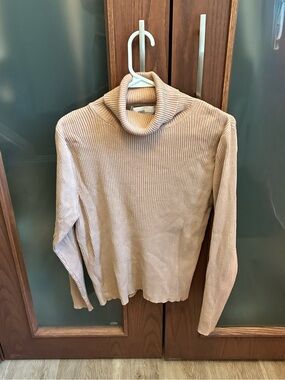 Sears Ribbed Turtleneck Sweater in Beige